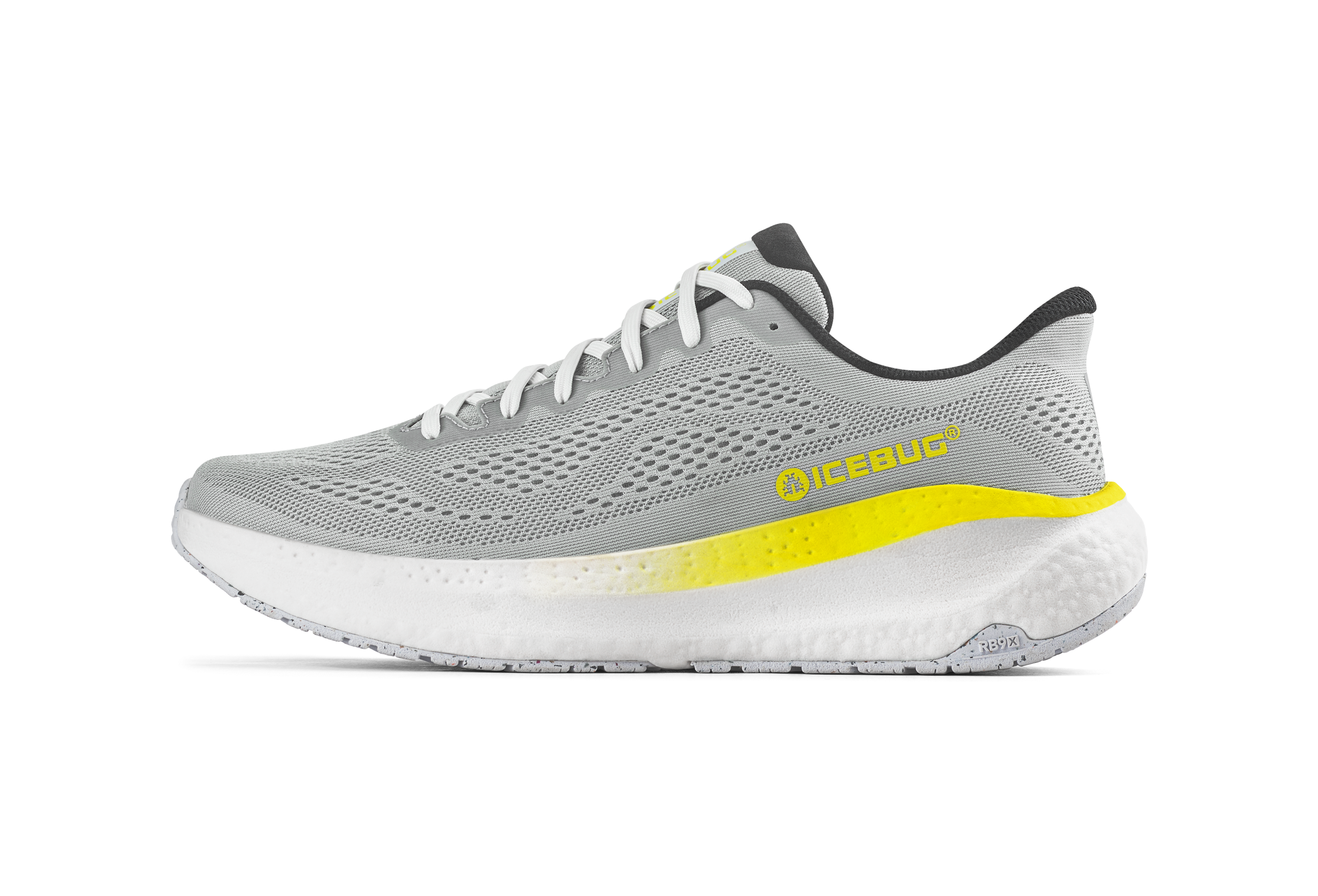 LightGrey/Lime